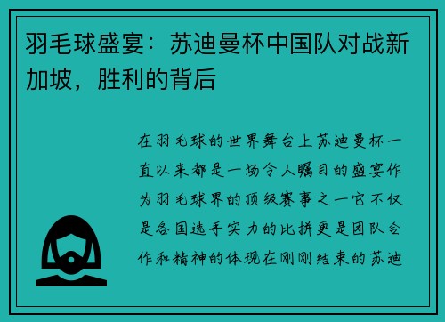羽毛球盛宴：苏迪曼杯中国队对战新加坡，胜利的背后