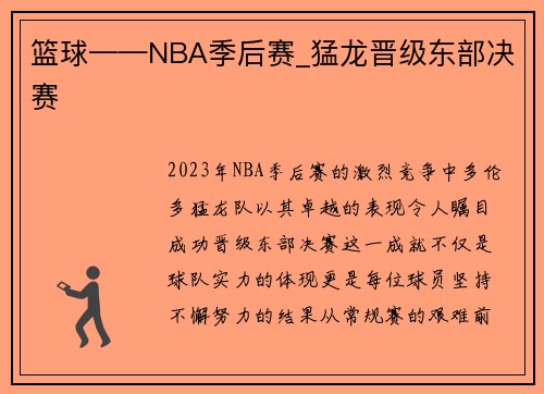 篮球——NBA季后赛_猛龙晋级东部决赛